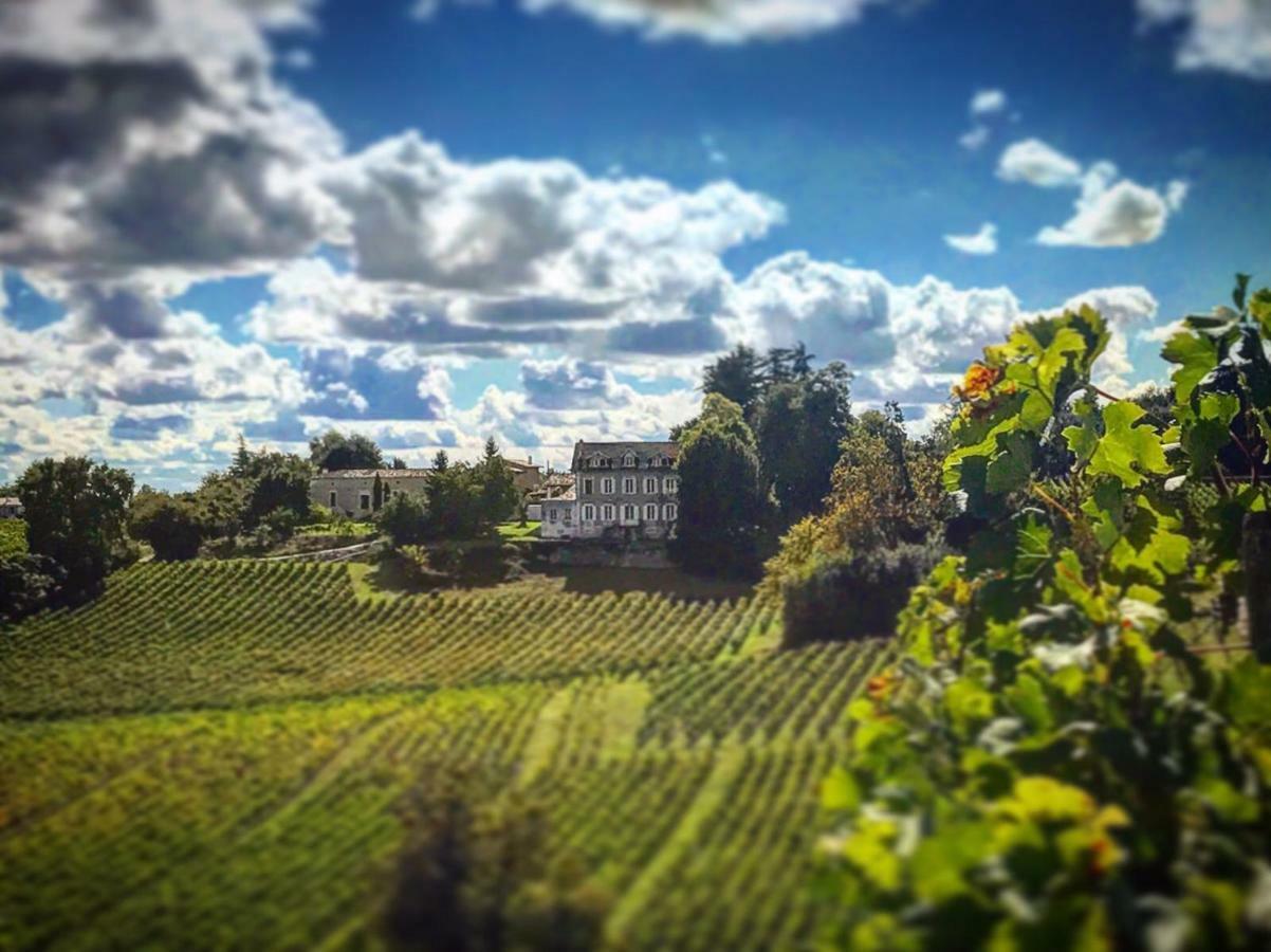 Chateau La Fontaine Fronsac (Gironde) Exterior foto